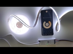 سلسلة مصابيح الشريط LED معتمدة RoHS في طول 6.5FT مع لون أبيض دافئ