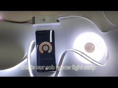 ضوء الشريط COB