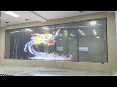 شاشة مرنة شفافة - حالات المشروع