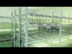 وقت الإنتاج للشيخوخة